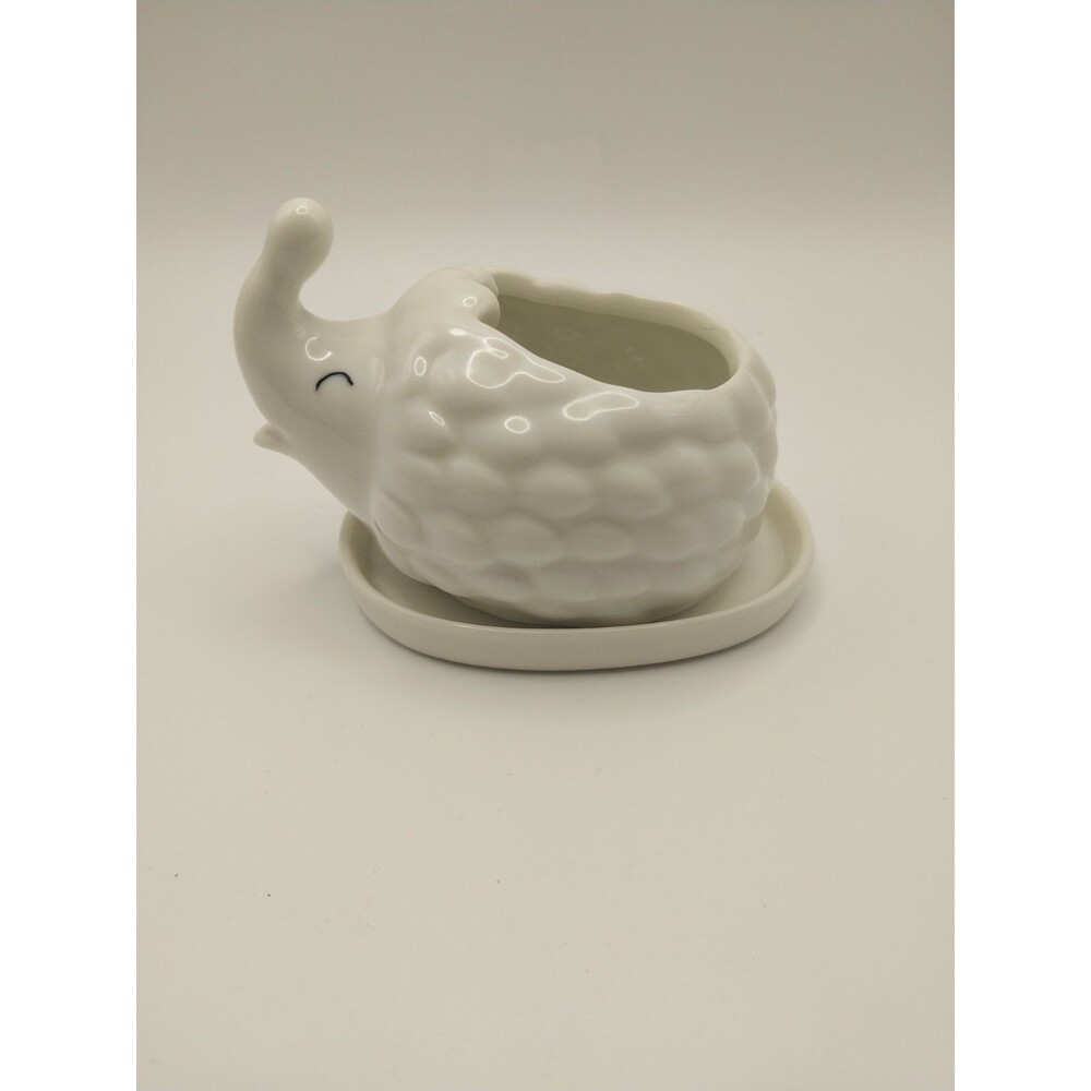 Whimsical White Ceramic Hedgehog Mini Cactus Air Plant Pot Drainage Tray
